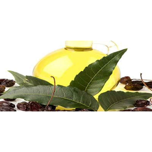 Aceite de Neem Puro y Natural Prensado en Frío para el Cuidado de la Piel y el Cabello, Suministro al por Mayor - Product Image 6