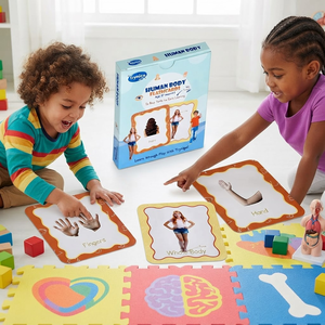 Tarjetas didácticas Toysaga del cuerpo humano, 30 piezas para niños mayores de 2 años, tarjetas educativas para aprendizaje temprano - Product Image 6
