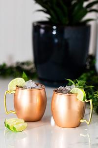 Solid Pure Copper Mug Polished Finish Handmade Copper Drinking Mug Traditional <b>Drinkware</b> by Madiha Art and Crafts - Product Image 6