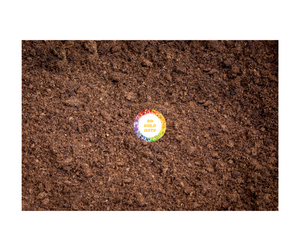 Fibra de coco vietnamita económica-Bloque de turba de coco exportado, baja CE, baja humedad adecuado para jardinería, plantación, industria - Product Image 2