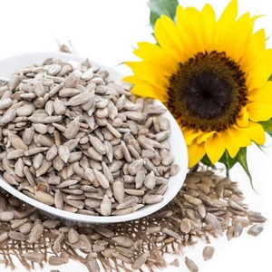 Graines de tournesol brutes en vrac pour l'huile de tournesol - Product Image 5