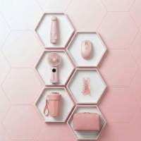 Coffret Cadeau Bien-être Employé Rose – Boîte de Swag pour Trajets Estivaux – Kit de Rentrée d'Entreprise Personnalisé – Articles Promotionnels – Pack Lifestyle