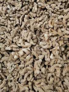 100% Original African <b>Fresh</b> <b>Ginger</b> Hot Sale with Low Price Premium Wholesale CREKS Young <b>Ginger</b> Slices 25kg Ready for Export - Product Image 5