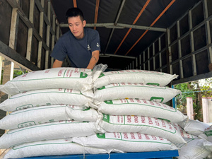Premium Arabica <b>Coffee</b> <b>Beans</b> Unroasted Pure Natural Grade A Bulk Export From OriginExport Grade Green <b>Coffee</b> <b>Bean</b> - Product Image 2