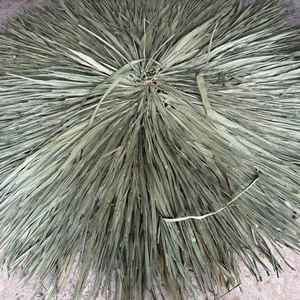 Sombrilla Plegable de Paja Sintética de 1.8m, Precio de Fábrica, para Decoración, Playa, Resort, Eventos - Product Image 1