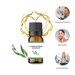 น้ำมันหอมระเหยโกฐจุฬาลัมพาบริสุทธิ์ 100% ขนาด 0.5 ลิตร คุณภาพพรีเมียม กลั่นด้วยไอน้ำ AARNAV GLOBAL EXPORTS AGE-EO-202 ขายส่ง - Product Image 3