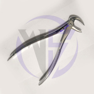 Forceps d'extraction dentaire # 74 instruments chirurgicaux en acier inoxydable pour l'extraction dentaire - Product Image 3