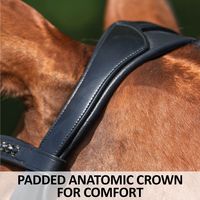 Bridon en cuir roulé OEM double Weymouth, 100 % cuir véritable, meilleure qualité, rembourrage doux