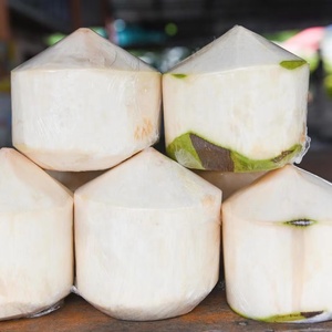 มะพร้าวอ่อนพรีเมียมสดใหม่ มะพร้าวทรงเพชรพร้อมน้ำมะพร้าวธรรมชาติสำหรับส่งออก - Product Image 2