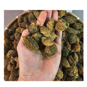 Melón amargo silvestre natural seco a granel, hierba para té, producto para beber de Vietchoice Vietnam, listo para enviar - Product Image 5