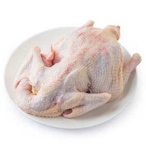 Precios al por mayor Pollo entero congelado Halal 100% limpio, descafeinado, bajo en sodio, nutritivo, IQF, BQF, envasado al vacío, origen Italia - Product Image 2
