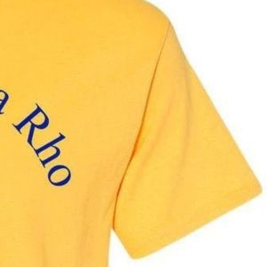 Camiseta Unisex con Escudo de Sigma Gamma Rho, Cuello Redondo, Manga Corta, Algodón, Ropa Casual Urbana, Prenda de la Hermandad Griega, OEM ODM - Product Image 4