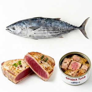 Vente Flash : Thon Congelé de Qualité Supérieure, Vente en Gros, Qualité Alimentaire, Stock Prêt, Meilleure Qualité pour l'Exportation - Product Image 6