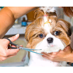 Ciseaux de toilettage pour animaux de compagnie à lames durables en acier inoxydable, tondeuse corporelle et faciale à pointes arrondies, outils pour cheveux longs, moyens et extensions capillaires - Product Image 6