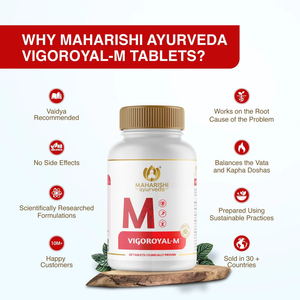 Tabletas de Extracto Herbal Vigoroyal M, Fórmula Ayurvédica Premium con Ashwagandha, Safed Mulsi, Shilajit y Shatavari - Product Image 4