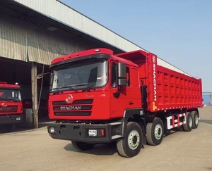 Camión Volquete Diésel de Servicio Pesado Shacman F3000 8X4, Transmisión Manual, Capacidad de 41-50t, Transporte de Ingeniería - Product Image 5