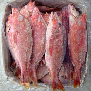 Selección de Pescado Pargo Rojo Congelado con Excelente Sabor y Carne Firme, Ideal para Mostradores de Mariscos y Cocinas Comerciales - Product Image 4