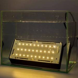 Projecteur extérieur puissant et étanche de 40 watts, haute luminosité, 6000K, blanc froid, système d'éclairage de sécurité pour patio - Product Image 5