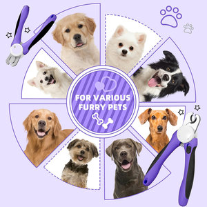 Cortauñas Profesional de Acero Inoxidable 304, Acción de Guillotina, Ligero, para Perros Pequeños, Gatos, Cirugía Veterinaria - Product Image 6