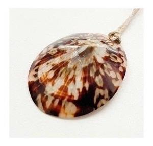 Concha de Limpet Natural Auténtica, Concha Decorativa Marina, Adecuada para Proyectos de Bricolaje de Primera Calidad, Decoración Costera y Creación Artística - Product Image 1