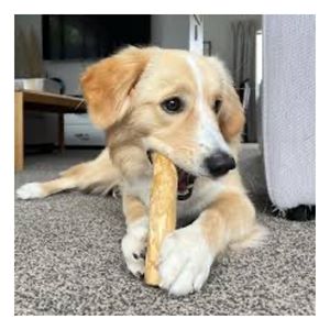 Palo de Madera de Café Hecho a Mano para Perros, Juguete Natural Duradero para Mascotas, Suministro al por Mayor - Product Image 5