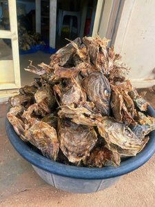 Stockfish et Têtes de Poisson Personnalisés de Haute Qualité / Morue Salée Séchée d'Origine DE, Durée de Conservation de 2 Ans - Product Image 6
