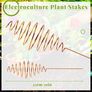 Bâtons d'électroculture en cuivre traditionnels pour la croissance des plantes de jardin biologique, à vendre à l'exportation à prix économique - Product Image 2