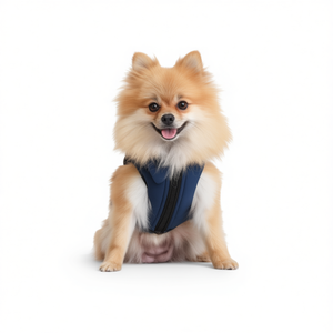 Veste en coton pour chien Yommy, taille S, pour petits chiens, vêtements chauds d'hiver - Product Image 2