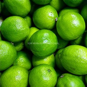 Citron vert frais du Vietnam avec une production toute l'année - Product Image 5