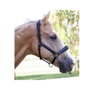 Halter de caballo de cuero acolchado de calidad superior de primera calidad con producto de foco de Crystal Gener - Product Image 4