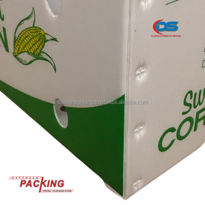 OEM xuất khẩu dat Thuan sóng nhựa lưu trữ bin nước phong cách cho PP hộp sóng cho thức ăn và rau lưu trữ - Product Image 1