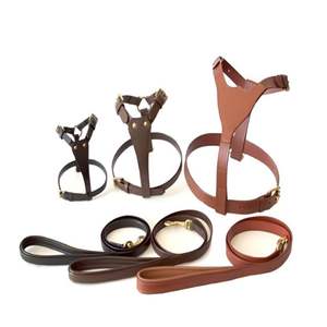 Arnés Acolchado para Perro Tugby con Correa Ajustable, Arnés Resistente y Cómodo para Pasear y Entrenar, Equipo Duradero para Mascotas - Product Image 1