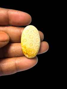 Coral Fósil Natural, Cabujón de Cristal Pulido, Gemas Minerales de Alta Calidad, Formas Mixtas, Materiales a Granel para la Fabricación de Joyería - Product Image 5