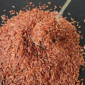 Riz noir vietnamien de haute qualité pour l'exportation, riz negro saludable, arroz rojo saludable, vente en gros à bon prix WS +84393250278 - Product Image 2