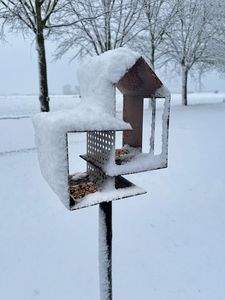 Nichoir décoratif en métal pour oiseaux, abri pour la reproduction des oiseaux, mangeoire suspendue, nichoir décoratif en fer pour extérieur, balcon, jardin. - Product Image 2