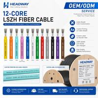 Kabel Serat Optik Multimode OM4 12 Inti untuk Dalam Ruangan dengan Jaket LSZH untuk Kabelan Inti Pusat Data