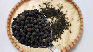 Meilleur Poivre Noir Brut Standard 2026, Épice Unique, Granulé Séché, à Prix Compétitif - Product Image 6