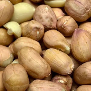High Quality Organic Raw Kernel <b>Peanuts</b> Dried Style Available in Bulk Wholesale Now Available in Bulk Stock at Affordable Price - Product Image 2