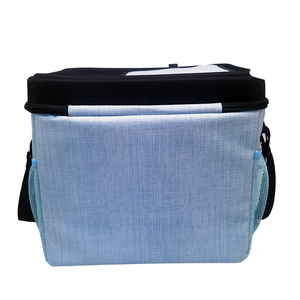 Custom Tarpaulin Insulated <b>Lunch</b> <b>Box</b> Cooler Bag for Camping Picnic and Travel Golden Supplier OEM Beer Cans <b>Pack</b> Food Storage - Product Image 3