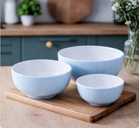 Ensemble de 3 bols à soupe en mélamine, vaisselle moderne de luxe polie, qualité alimentaire, compatible lave-vaisselle et micro-ondes, assiettes bleues et blanches pour fête