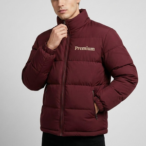 Men's Winter Puffer Jacket Hooded Zip Up <b>Coat</b> Windproof Polyester Wholesale Supplier Factory Direct - Product Image 1