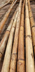 Poteaux en bambou écologique du Vietnam Poteaux en bambou naturel de qualité d'exportation | Durable, droit et écologique-Wholesale & Bulk Supply - Product Image 2