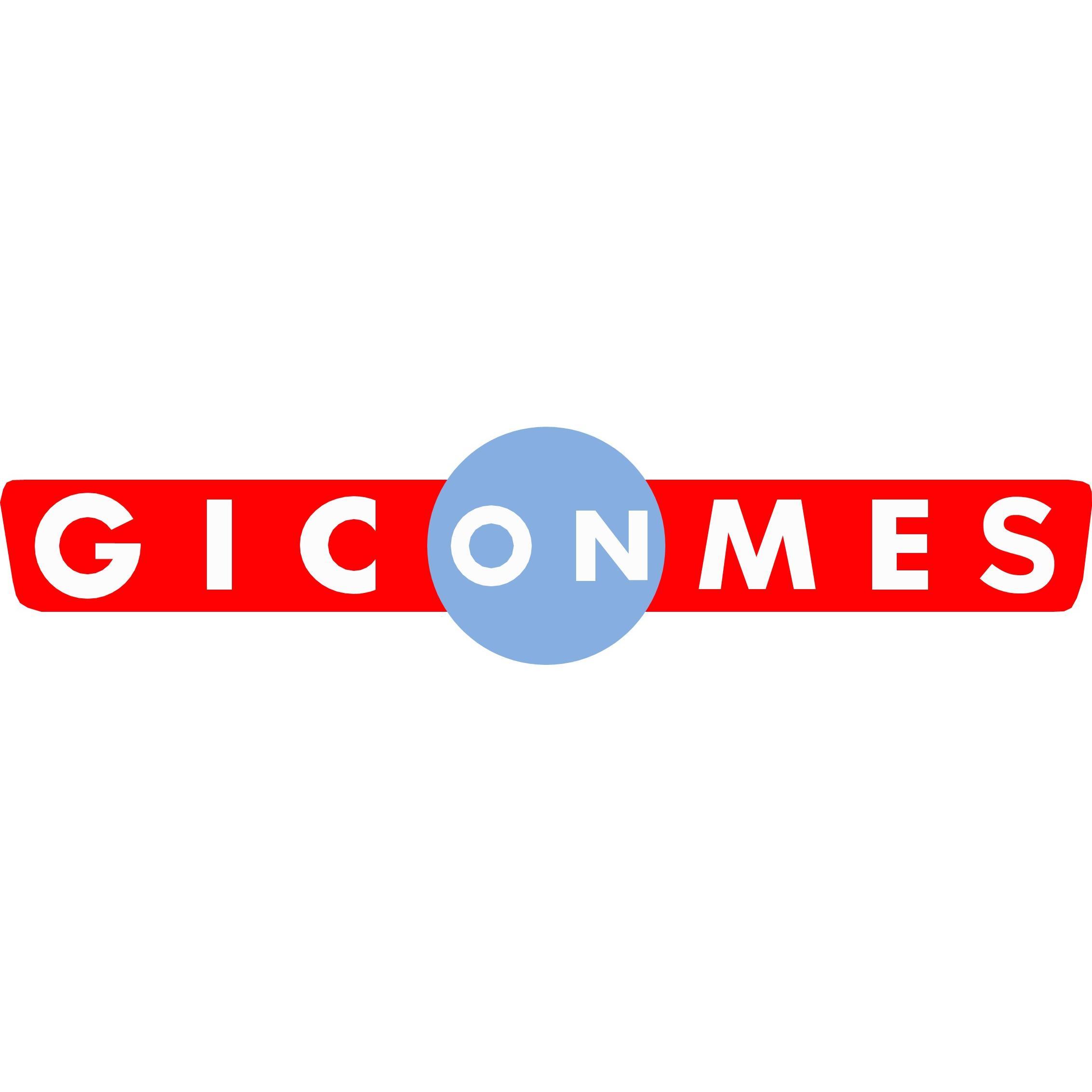 GICONMES IBERICA, SL logo