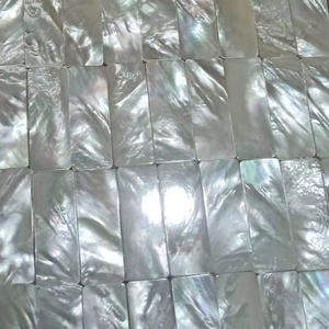 <b>Top</b> Quality Mother of Pearl Inlay Blanks Mother of Pearl Shell Pieces For Guitar Inlay Material White Mother of Pearl Shell - Product Image 1