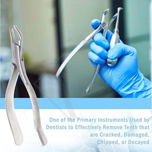 Forceps d'extraction dentaire manuels en acier inoxydable Accuram Wholesale, usage professionnel, certifiés CE Classe I, instruments ergonomiques - Product Image 4