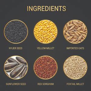 Céréales mélangées biologiques saines, graines de tournesol, riches en protéines, soutien immunitaire, nourriture pour oiseaux pour les agapornis, les cockatoos et les perroquets - Product Image 4