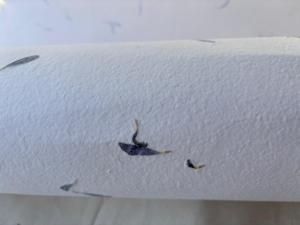 กระดาษทำมือจากกลีบดอกคอร์นฟลาวเวอร์  กระดาษออร์แกนิกที่ยั่งยืน  วัสดุเครื่องเขียนจากพืช  เป็นมิตรกับสิ่งแวดล้อม  ปราศจากไม้  กระดาษรีไซเคิลสำหรับงานศิลปะและงานฝีมือ - Product Image 4