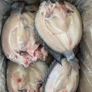 Filets de poisson surgelés de qualité supérieure prêts à être expédiés, qualité alimentaire, approvisionnement en gros, qualité supérieure, fabricant exportateur - Product Image 2