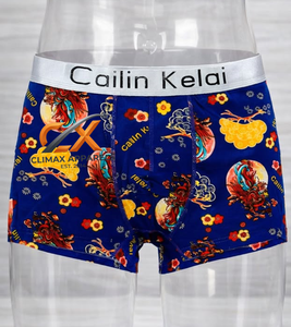 ODM <b>Custom</b> Private Label Logo Waist Digital Printed Classic Rise Breathable 100% Cotton <b>Boxer</b> Briefs for Men Factory Direct - Product Image 2