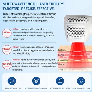 Appareil de thérapie laser de classe IV 12W 810nm 980nm 1064nm pour soulager la douleur chez les humains et les animaux - Product Image 2